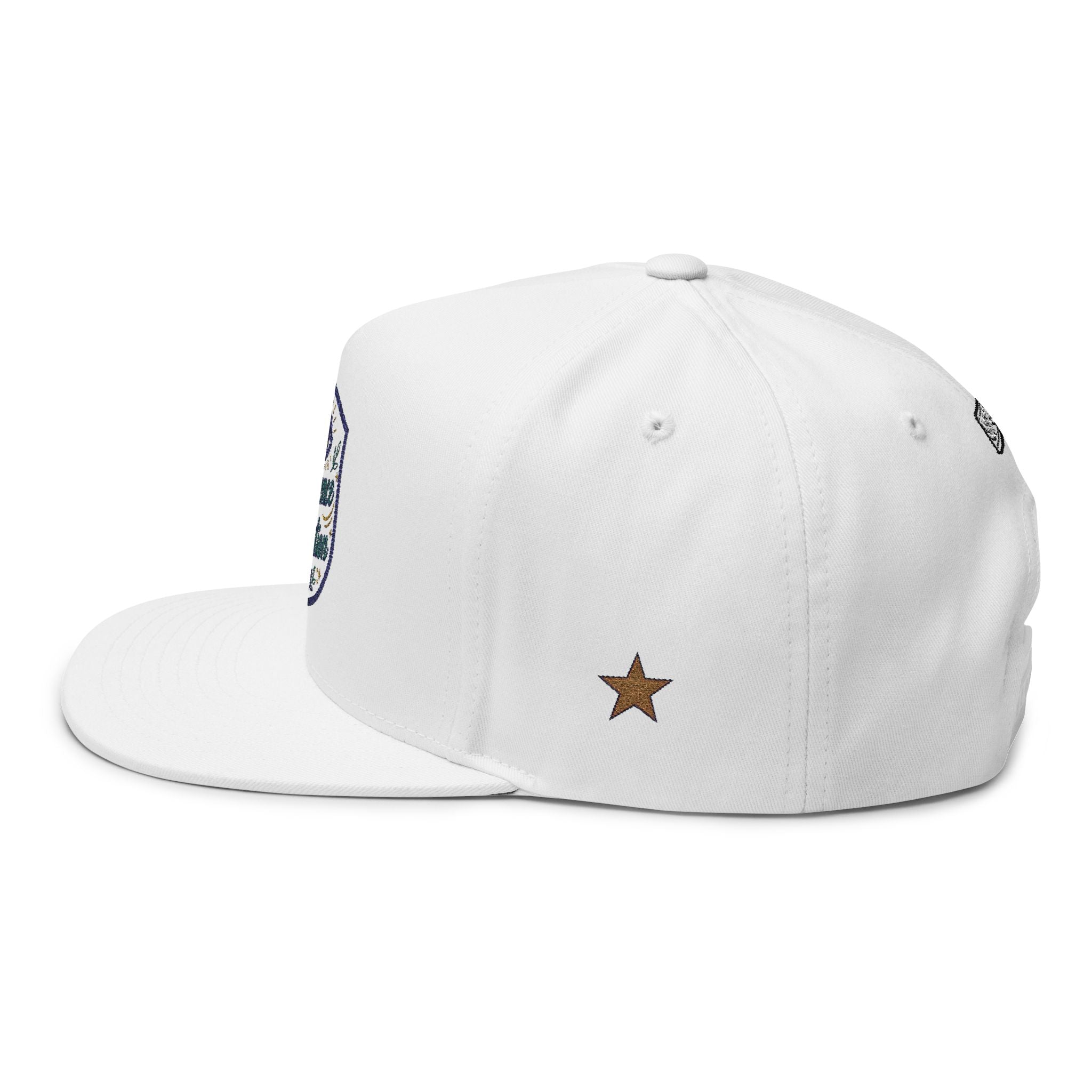 Embroidered Flat Bill Cap - "Presence in Motion" Eye Patch Design