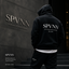 SPVNN - Home